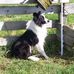 Barbara Leverett - Facebook