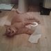 Barbara Levert - Facebook