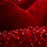 Barbara Lew - @barbaraw72 - Instagram