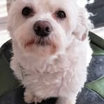 Barbara Lew Paszkowska - @bpaszkowska - Instagram
