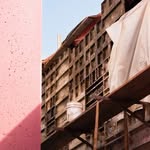 Barbara Lewin - @barbaralewinphotographynyc - Instagram