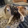 Barbaralewis56 - @barbaralewis566 - TikTok