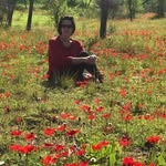 Barbara Lewinsohn - @barbaralewinsohn - Instagram