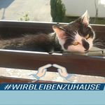 Barbara Lex-Ebbeke - @lexebbeke - Instagram