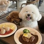 Barbara Li - Facebook