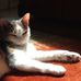 Barbara Libby - Facebook