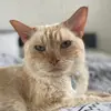 Libby - @libbybarbara - TikTok