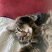 Barbara Lippetti - Facebook