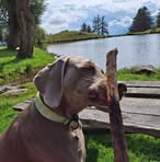 Barbara Licata - Facebook