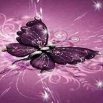 Barbara Lichtenfeld - @barbaralichtenfeld - Instagram