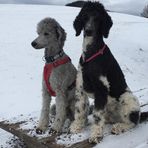 Barbara Lichtenegger - Facebook