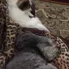 Barbara Salerno Lici - @barbarasalernolicitra - TikTok