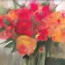 Barbara Liddle Art - Facebook