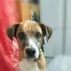 Barbara Liebe - @barbara.liebe3 - TikTok