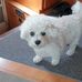 Barbara Liebehentschel - Facebook