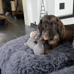 Barbara Quellmalz-Liebe - Facebook