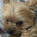 Barbara Lieber - Facebook