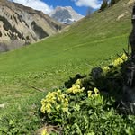 Barbara Liebmann - @barbaraliebmann72 - Instagram