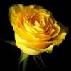 barbaraliggans702 - @barbaraliggans702 - TikTok