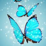 barbaraliggans - @barbaraliggans2797 - Instagram