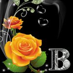 barbaraliggans - @barb_miafan - Instagram