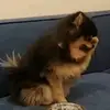 Barbara Azurlight - @barbaraazurlight - TikTok