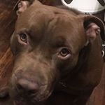 Barbara Light - @rolemandy0516 - Instagram