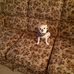Barbara Light - Facebook
