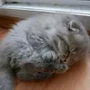 Варвара Шарманова - @barbara_like_life - TikTok