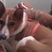 Barbara Lile - Facebook