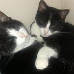 Barbara Lile Brown - @barbbrown306 - Instagram