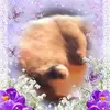 barbaralileskeckl - @barbaralileskeckl - TikTok
