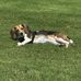 Barbara Lillard - Facebook
