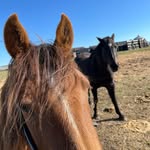 Barbara Lilly - @farmerwife59 - Instagram