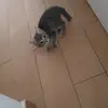 barbara_lilly - @barbara_lilly - TikTok