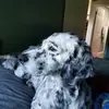 barbaralilly19 - @barbaralilly19 - TikTok