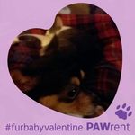 Barbara Linck Durfee - @barbara_linckdurfee - Instagram