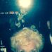 Barbara Lindstrom - Facebook