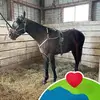 Barbara Lineweaver - @barbara.lineweave - TikTok