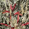 Barbara Ellinger978 - @barbaraellinger - TikTok