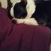 Barbara Lingo - Facebook