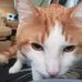 Barbara Leonhardt - Facebook