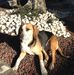 Barbara Lini - Facebook