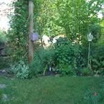 Barbara Link - @3papillonl1 - Instagram