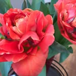 Barbara Linke - @barbara.linke.100 - Instagram