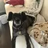 barbaralink38 - @barbara.link0 - TikTok
