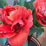 Barbara Linke - @barbara.linke.100 - Instagram
