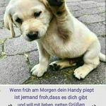 Barbara Linke - @barbara.linke.161 - Instagram