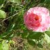 Barbara Linke - Facebook