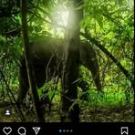 Barbara Linscott Will - Facebook